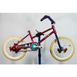 1992 Roadmaster Princess Jasmine Kids Bicycle