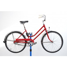 1975 Schwinn Breeze Girls Bicycle 14"