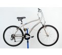 LandRider Auto-Shift Hybrid Bicycle 17"