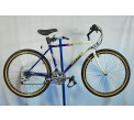 1988 Specialized Rockhopper Comp Mountain Bicycle