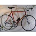 1970's Colnago Road Bicycle