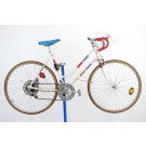  1976 Coast to Coast Bicentennial Ladies Bicycle 22"