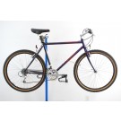 1992 Specialized Stumpjumper 20" Mountain Bicycle