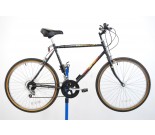 Vintage Free Spirit Mountain Bicycle 22"