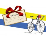 Gift Certificate to Budget Bicycle Center