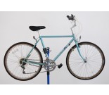 1980s Raleigh Technium Citylite Hybrid Bicycle 19"