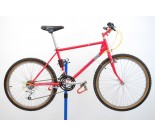 1987 Raleigh The Edge Mountain Bicycle 16"