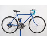 1979 Schwinn Caliente Road Bicycle 18"