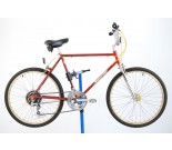 1982 Schwinn Sidewinder Mountain Bicycle